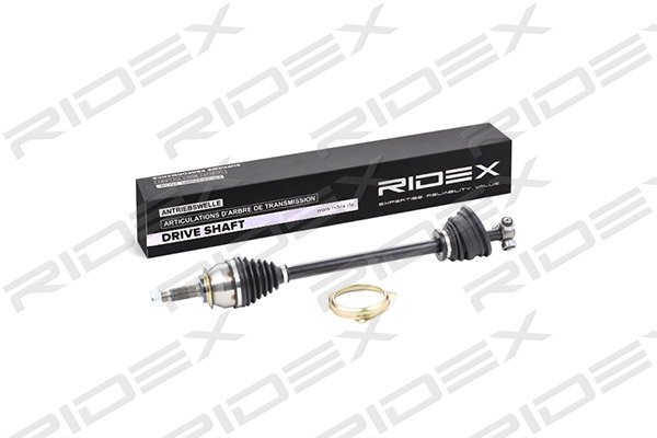 RIDEX 13D0217