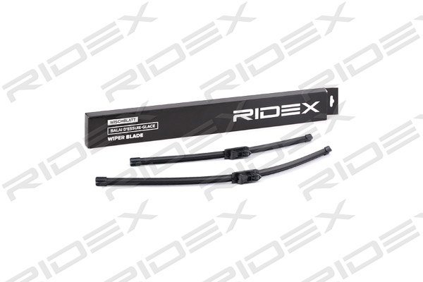RIDEX 298W0096