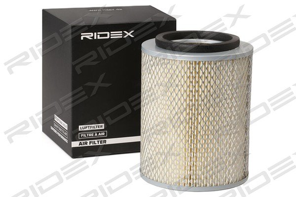 RIDEX 8A0130