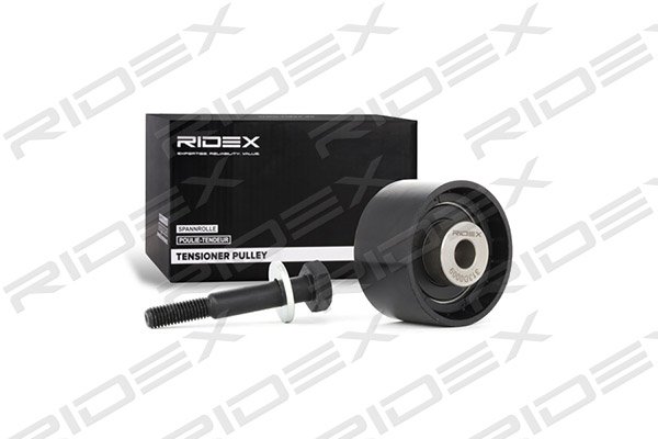 RIDEX 313D0009