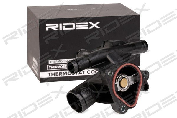 RIDEX 316T0243