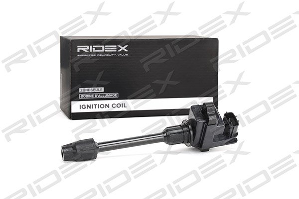 RIDEX 689C0203