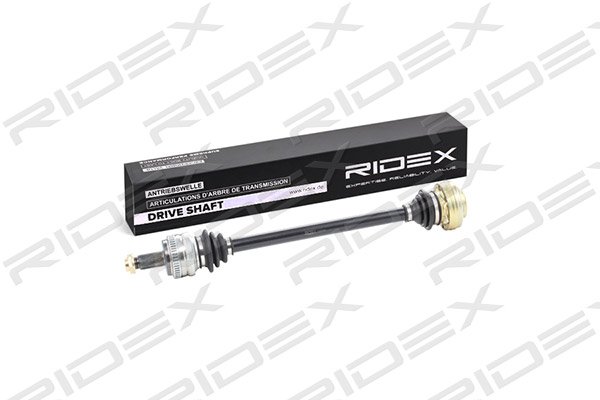 RIDEX 13D0194