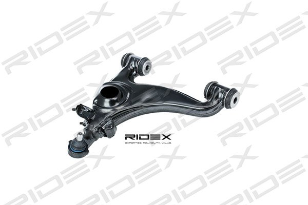 RIDEX 273C0597