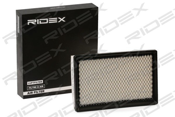 RIDEX 8A0571