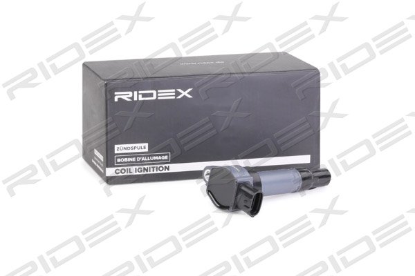 RIDEX 689C0301