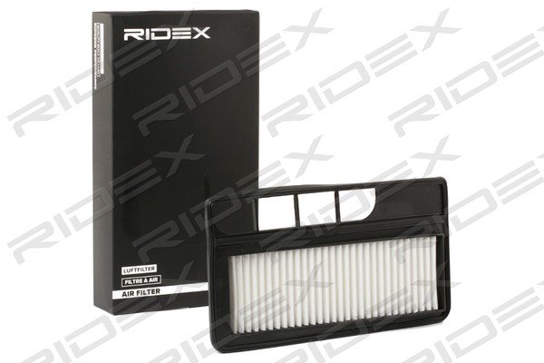 RIDEX 8A0555