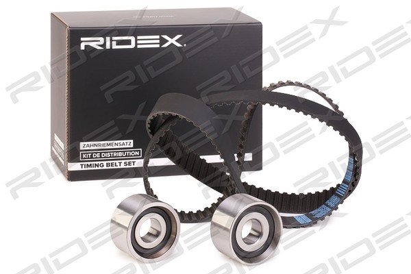 RIDEX 307T0391
