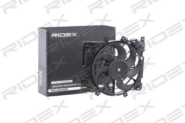 RIDEX 508R0107