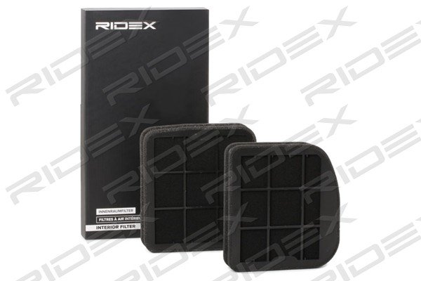 RIDEX 424I0299