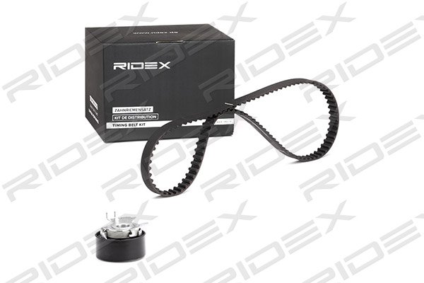 RIDEX 307T0110