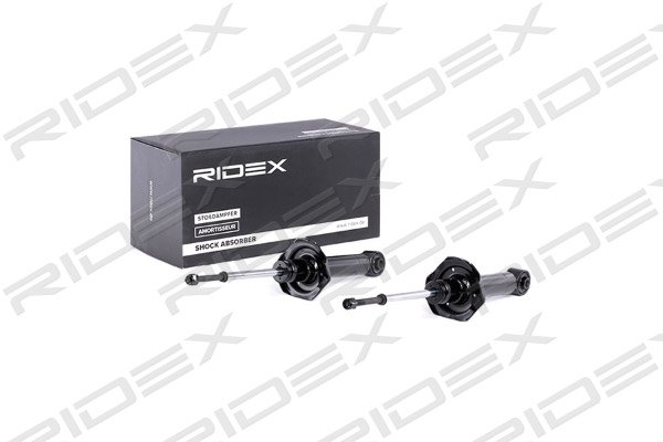 RIDEX 854S2139