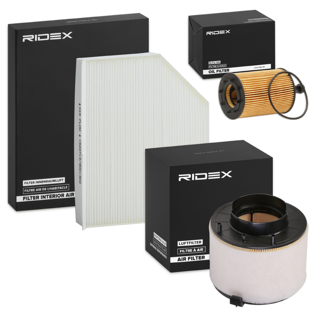 RIDEX 4055F19498