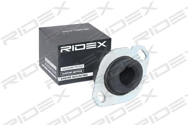 RIDEX 247E0114