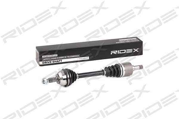 RIDEX 13D0200
