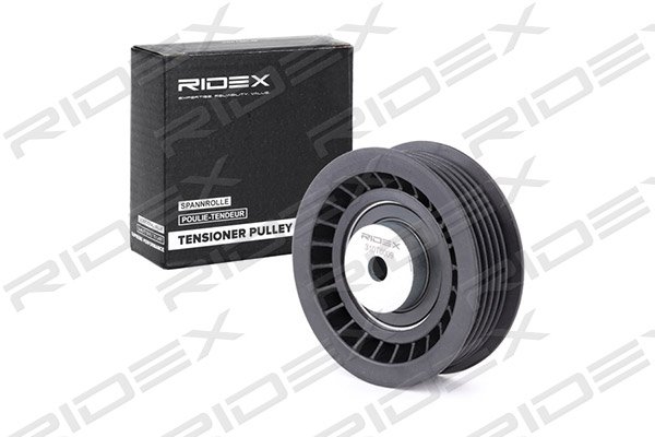 RIDEX 310T0009