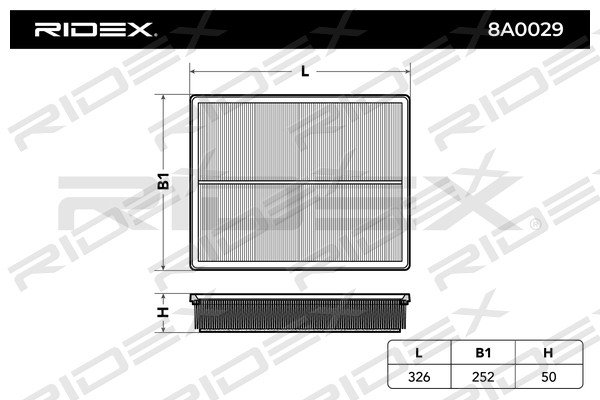 RIDEX 8A0029