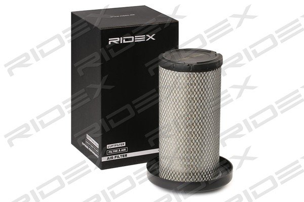 RIDEX 8A0616
