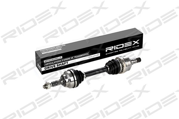 RIDEX 13D0107