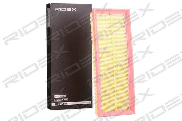 RIDEX 8A0689