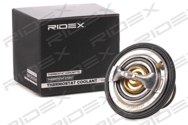 RIDEX 316T0206