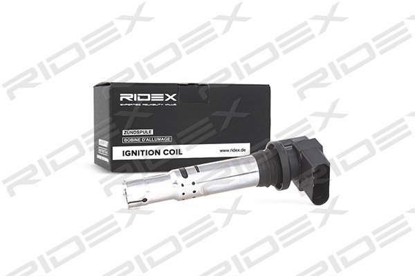 RIDEX 689C0003