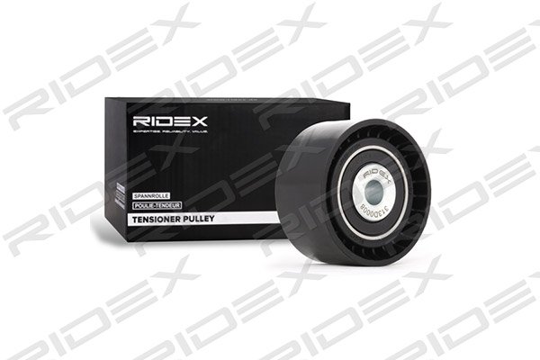RIDEX 313D0008