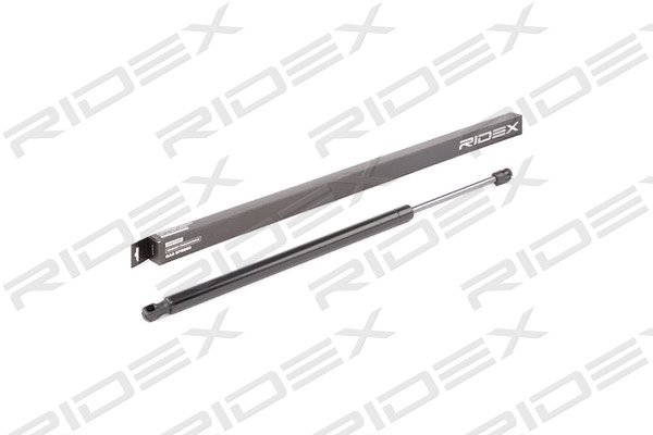 RIDEX 219G0902