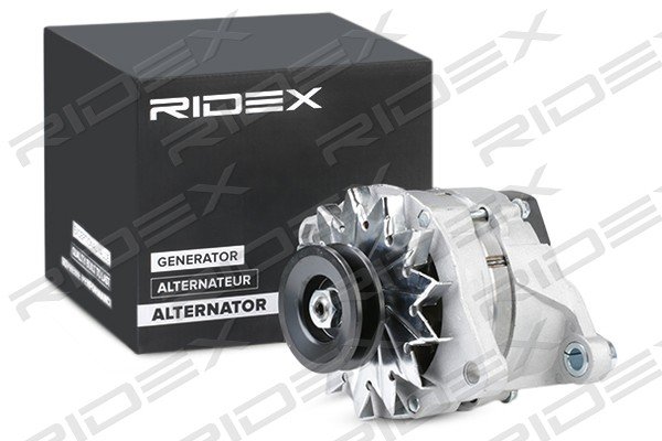 RIDEX 4G1041