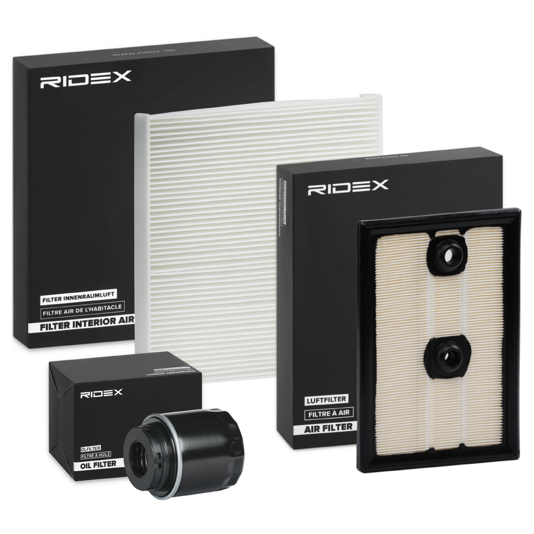 RIDEX 4055F19993