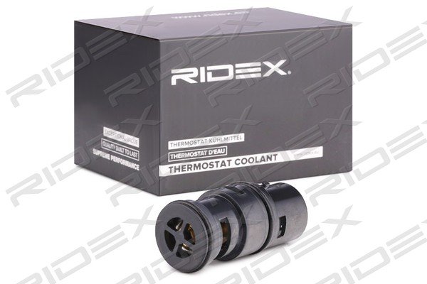 RIDEX 316T0190