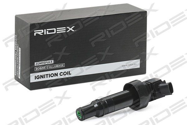 RIDEX 689C0344