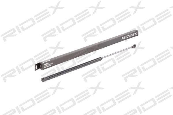 RIDEX 219G0734