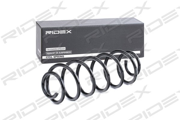 RIDEX 188C0297