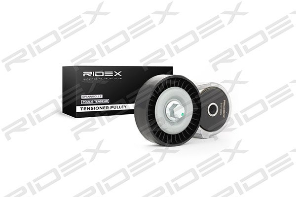 RIDEX 310T0025