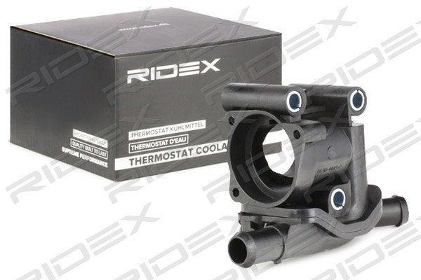 RIDEX 316T0213