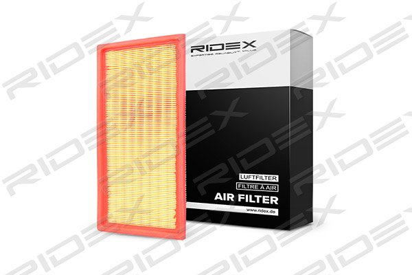 RIDEX 8A0181