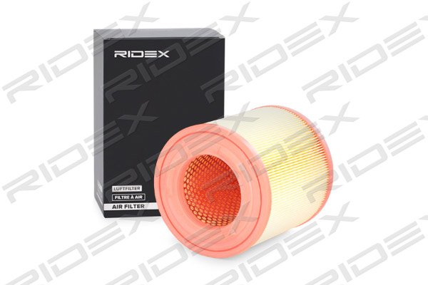 RIDEX 8A0614