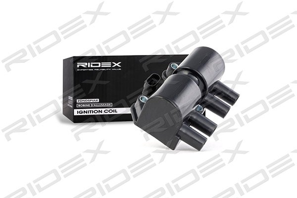 RIDEX 689C0066