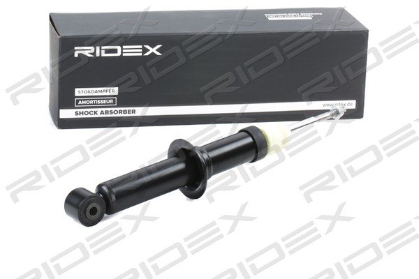 RIDEX 854S1099