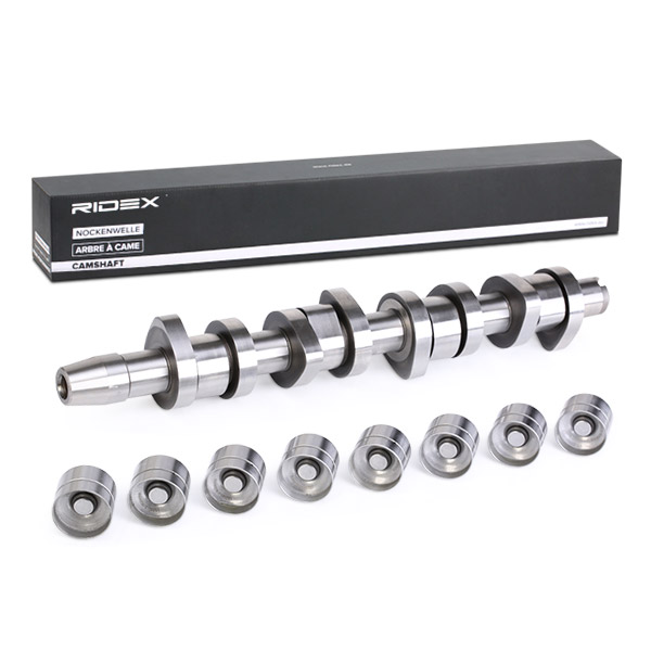 RIDEX 567C0006