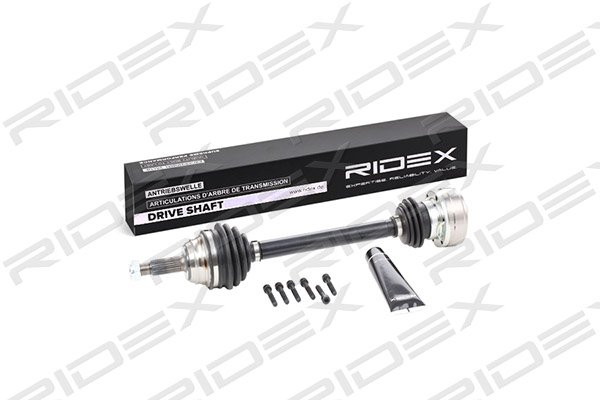 RIDEX 13D0168