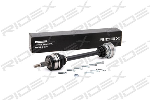 RIDEX 13D0281