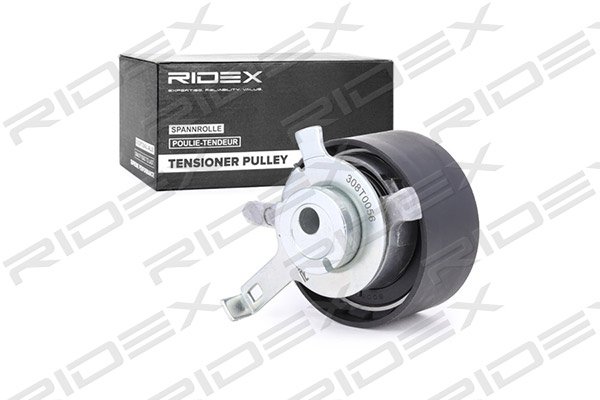 RIDEX 308T0056