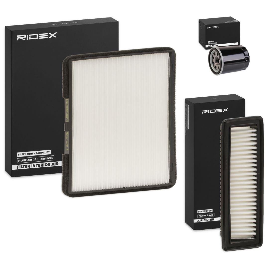 RIDEX 4055F19669