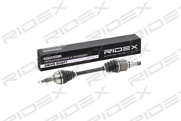 RIDEX 13D0219