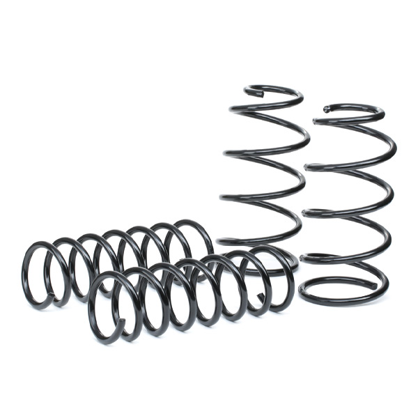 RIDEX 189S0032