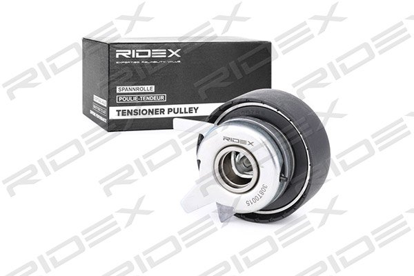RIDEX 308T0015