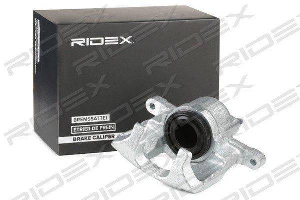 RIDEX 78B1082