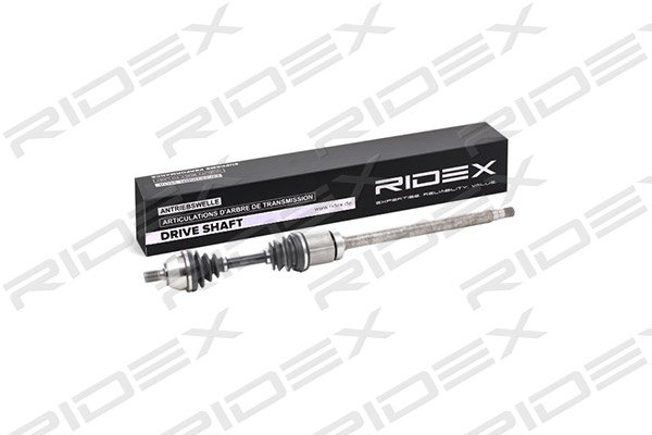 RIDEX 13D0224